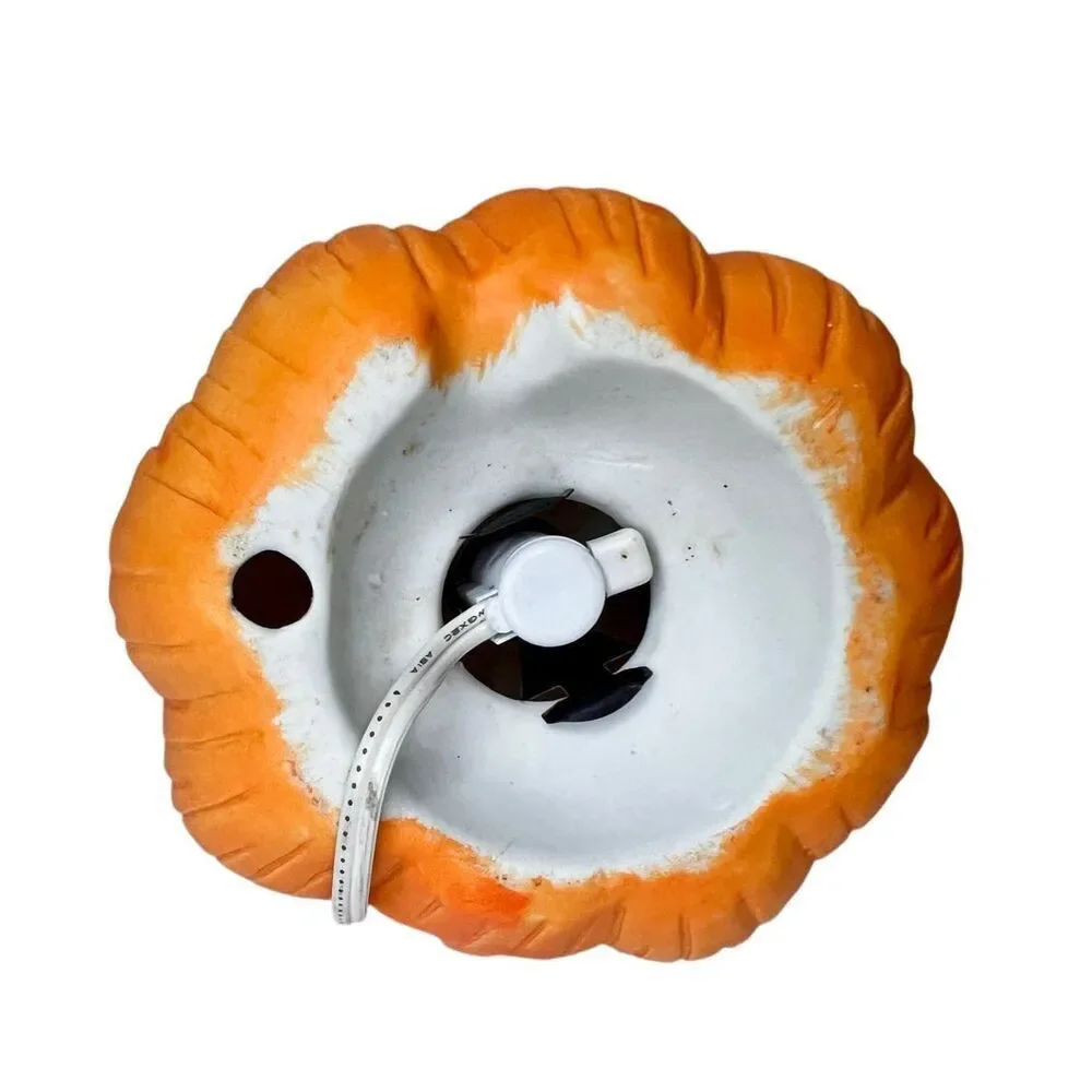 No Brand halloween lighted